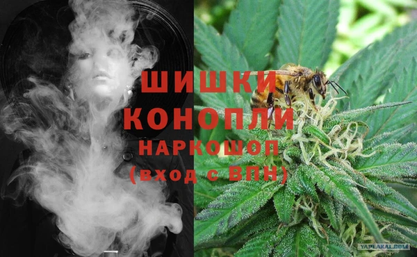 дживик Арсеньев